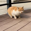 겨울 담양 뚜벅이 여행