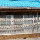 동해안 3일 차박 여행기 이미지