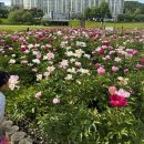 낙동가람 이미지