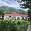 나리다온 이미지