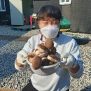 거제시장애인부모회 이미지