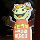 미스터뚱 이미지