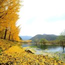 바다 어울림 이미지