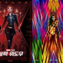 블랙위도우 이미지