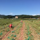 주빈농장 이미지