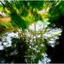 평화마을 이미지