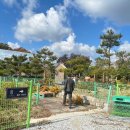 문수우체국(앞) 이미지