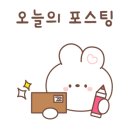힐리 스토리 네이버블로그