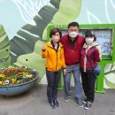 간석3동-4 이미지