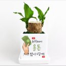 조아그린