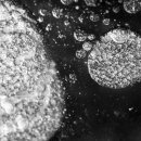 상곡보건진료소 이미지