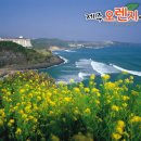 알찬여행㈜ 이미지