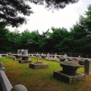 자전거 전국일주_기억자전거 - 9일차, 성주, 작지만 여전히 큰 성주와 석주