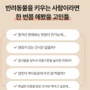 (주)펫푸드주오 이미지