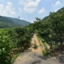 배산농원 이미지