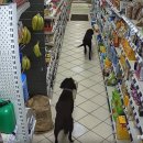 한신주유소 이미지