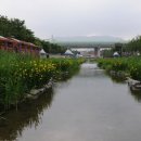 성내천공원 이미지