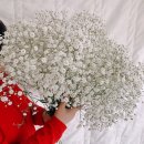 두대농장 이미지