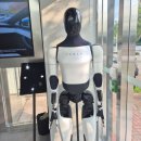 대신카센타 | 대전 테슬라 스토어 방문 후기, Model Y 계약 (Model Y, 롱레인지, Y L, Model 3, 사이버트럭, 전기차...