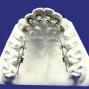 그림치과기공소 이미지