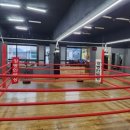 강병인복싱체육관 이미지