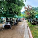 인천대공원 야영장 이미지