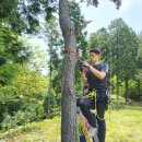 주식회사 이숲 이미지