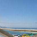 캠프이가리85 이미지