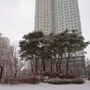 동문114공인중개사사무소 이미지