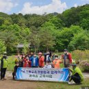 약용식물과 건강약선 이미지