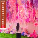 북부권 코스 | 태안 가족여행 안면도 국제원예치유 꽃박람회 입장료 힐링코스 추천
