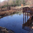 욜로오이소 이미지