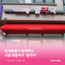 번동약국 이미지