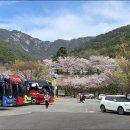 화왕산 티스토리
