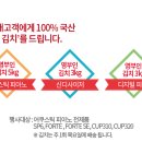 영부인김치 이미지
