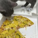 기능성 위장관 질환의 식이관리 | LDL콜레스테롤 정상 범위 관리