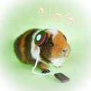 죽고싶지않아 공연 | 2025 연말결산 [하트에 불을 붙여!](콘서트)