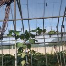 금현농장 이미지