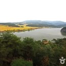 유유한