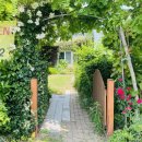 은빛나래펜션 이미지