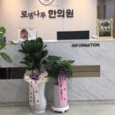 로뎀나무한의원 이미지