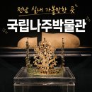 신평중앙파크골프샵 | 나주 가볼만한곳 국립나주박물관 후기｜비 오는 날 좋은 전남 실내 여행지