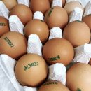 한길양계 이미지