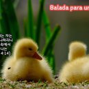 [일주일송] Balada para uma saudade _ 금요일에 주신 말씀 이미지