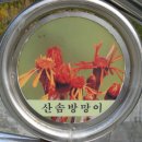 고한초등학교 이미지