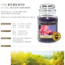 샌드블라썸 이미지