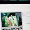 혜자호프