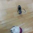 아우라수제화