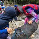 어울림숲어린이집 이미지