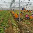 괴산군농업연구소 이미지